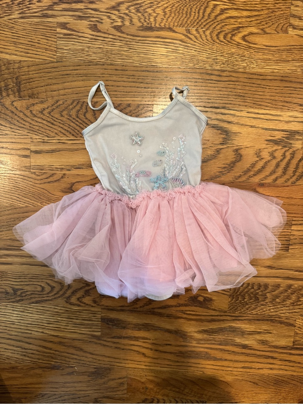 Tutu Du Monde Pink and Light Gray Embellished Ballet Tutu